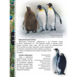 Енциклопедія для допитливих Талант Тварини - Жабська Т. З. - Pampik - 4