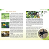 Енциклопедія для допитливих Талант Хижаки - Гапченко О. В. (9789669355874) - Pampik - 2