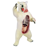 Об'ємна модель 4D Master Білий ведмідь, 36 елементів (26097) - Pampik - 2