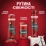 Твердий дезодорант Old Spice Wolfthorn, 50 мл - Pampik - 10