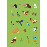 Набір наліпок. Перші розвивальні наліпки. Птахи, 35 шт. - Pampik - 4