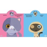 Грайка-розвивайка. Котики. 69 великих наліпок (F00024850) - Pampik - 3