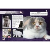 Фотоенциклопедія Світ навколо нас. Кішки (F00021091) - Pampik - 3