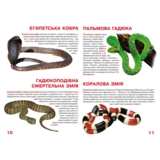Велика книжка. Отруйні змії (F00021418) - Pampik - 2