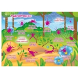 Велика книжка. Розвивальні наліпки + Розумнi завдання. Комахи та павукоподібні (F00021860) - Pampik - 3