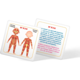 Розумні картки. Моє тіло. 30 шт. (F00021275) - Pampik - 9