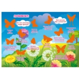 Велика книжка. Розвивальні наліпки + Розумнi завдання. Комахи та павукоподібні (F00021860) - Pampik - 2