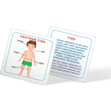 Розумні картки. Моє тіло. 30 шт. (F00021275) - Pampik - 8