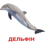 Картки Домана Вундеркінд з пелюшок Мешканці водойм, 20 карток, укр. мова (2100064096518) - Pampik - 3