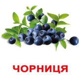 Картки Домана Вундеркінд з пелюшок Ягоди, 20 карток, укр. мова (2100064097041) - Pampik