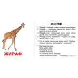 Мини-карточки Домана Вундеркинд с пеленок Дикие животные, с фактами, укр. язык, 40 шт. (2100064095719) - Pampik - 2