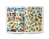 Меганаліпки. Динозаври (F00022097) - Pampik - 6