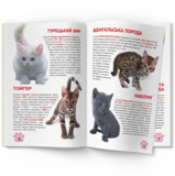 Большая книга Кристал Бук Котята (F00019383) - Pampik - 5