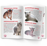 Большая книга Кристал Бук Котята (F00019383) - Pampik - 4