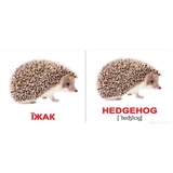 Мини-карточки Вундеркинд с пеленок Дикие животные/Wild animals, 40 шт. - Pampik - 2