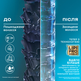 Шампунь для волосся OGX Argan oil of Morocco Відновлюючий з аргановим маслом, 385 мл - Pampik - 4