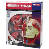 Об'ємна анатомічна модель 4D Master Голова людини, 14 деталей (FM-626103) - Pampik