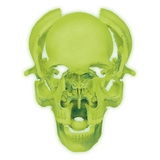 Об'ємна модель 4D Master Череп людини, що світиться, 17 деталей (FM-626113) - Pampik - 3