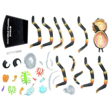 Объемная модель 4D Master Паук Тарантул, 33 детали (FM-622032) - Pampik - 10