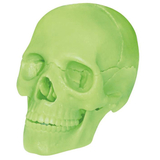 Об'ємна модель 4D Master Череп людини, що світиться, 17 деталей (FM-626113) - Pampik - 2