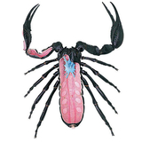 Объемная модель 4D Master Скорпион, 29 деталей (FM-622033) - Pampik - 4