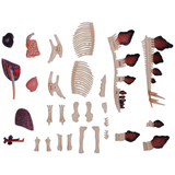 Об'ємна модель 4D Master Стегозавр, 39 деталей (FM-622016) - Pampik - 11