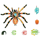 Объемная модель 4D Master Паук Тарантул, 33 детали (FM-622032) - Pampik - 9