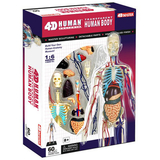 Об'ємна модель 4D Master Тіло людини, прозоре, 60 деталей (FM-626204) - Pampik