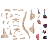 Об'ємна модель 4D Master Трицератопс, 46 деталей (FM-622014) - Pampik - 8