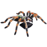 Объемная модель 4D Master Паук Тарантул, 33 детали (FM-622032) - Pampik - 3