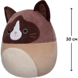 М'яка іграшка Squishmallows Кіт Вудворд, 30 см (SQCR05423) - Pampik - 4
