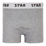 Труси-боксери Garnamama Basic STAR Boxer briefs boy 158-164 Серый (1037796.1402702) - Pampik