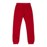 Спортивні штани на флісі Garnamama Pants girl Butterflies 122 Красный (1034922.1312419) - Pampik - 2