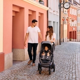 Прогулочная коляска ABC Design Samba 2 Almond (12005022504) - Pampik - 16