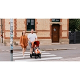 Прогулянкова коляска ABC Design Avus Carrot (12004512400) - Pampik - 12