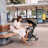 Прогулянкова коляска ABC Design Ping 3 Travel Pine (12004972302) - Pampik - 14