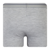 Труси-боксері Ляля К12СК113 122-128 Блакитний Сірий Чорний (899390.1056855) - Pampik - 6