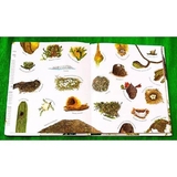 Арт-енциклопедія для дітей. Гніздо галасливе - Астон Гуттс Діанна - Pampik - 5