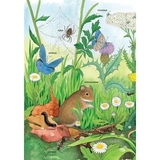 Моя перша мальована енциклопедія. Тварини - Сюзанне Генхойзер (Ч783001У) - Pampik - 4