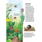 Моя перша мальована енциклопедія. Тварини - Сюзанне Генхойзер (Ч783001У) - Pampik - 3