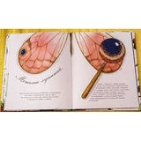 Арт-енциклопедія для дітей. Метелик неквапливий - Астон Гуттс Діанна - Pampik - 7