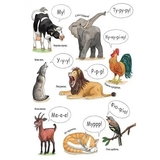 Моя перша мальована енциклопедія. Тварини - Сюзанне Генхойзер (Ч783001У) - Pampik - 6