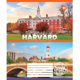 Набор тетрадей Yes University, A5, в линию, 96 листов, 5 шт. (766772) - Pampik - 2