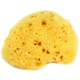 Натуральная губка для ванны OK Baby Honeycomb sea sponge, р.14, желтый (38471400) - Pampik