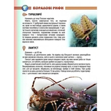 Енциклопедія для допитливих. Мешканці морів та океанів - Жабська Т. С. (9786176950318) - Pampik - 5