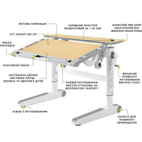 Дитячий стіл Mealux Ergowood L Multicolor MG Energy (арт. BD-810 MG/MC Energy) - Pampik - 2
