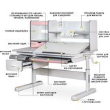 Дитячий стіл Mealux Florida Multicolor PN (арт.Evo-52 WG + PN Multicolor) - Pampik - 2