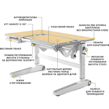 Дитячий стіл Mealux Kingwood Multicolor MG (арт. BD-820 MG/MC) - Pampik - 3