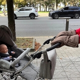 Муфта-рукавички NL Baby, коричневый (0000/33270) - Pampik - 6