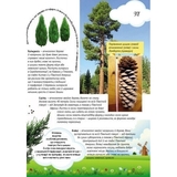 Велика енциклопедія молодшого школяра. Все про все - Яна Батій (Р900879У) - Pampik - 6